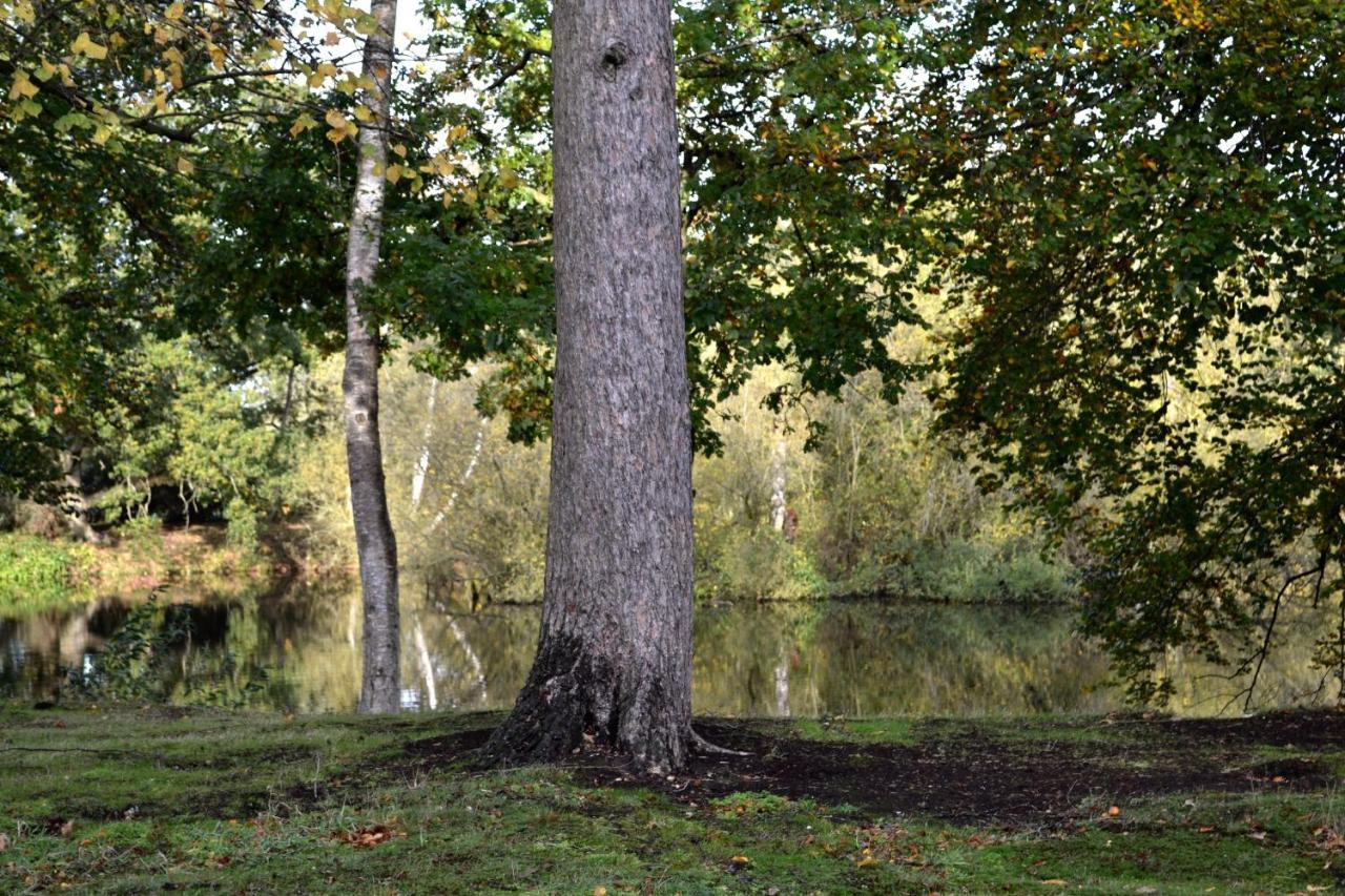 Lakewood Retreat Woodhall Spa Dış mekan fotoğraf